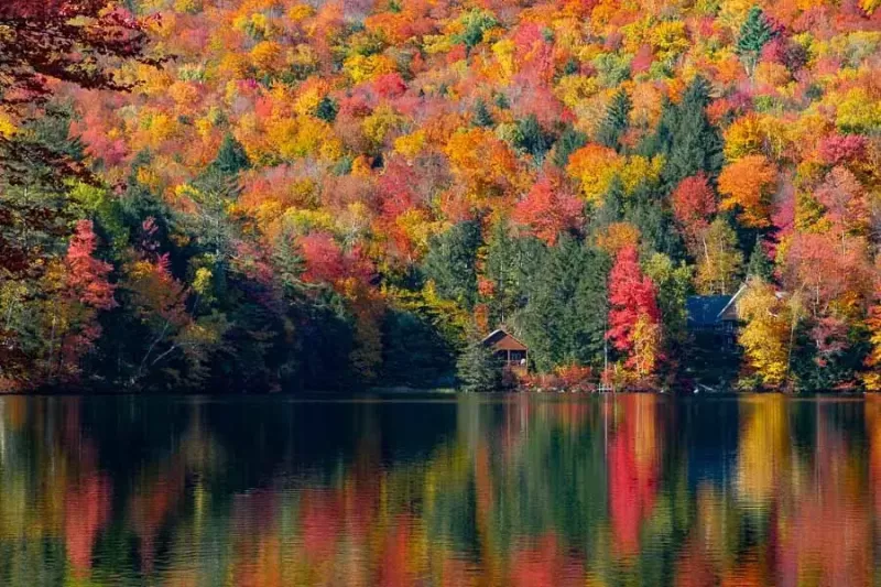 Create beautiful autumn photos by playing with reflections