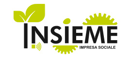 Logo-Insieme srl